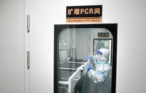 8大 方艙 就位 長沙抗疫一線再添 神器